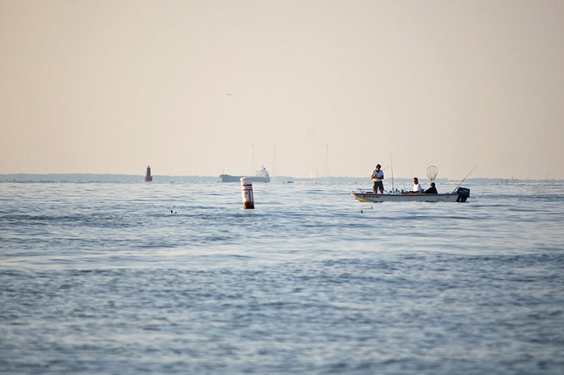 Smallest ‘dead zone’ on record predicted for Chesapeake Bay this summer