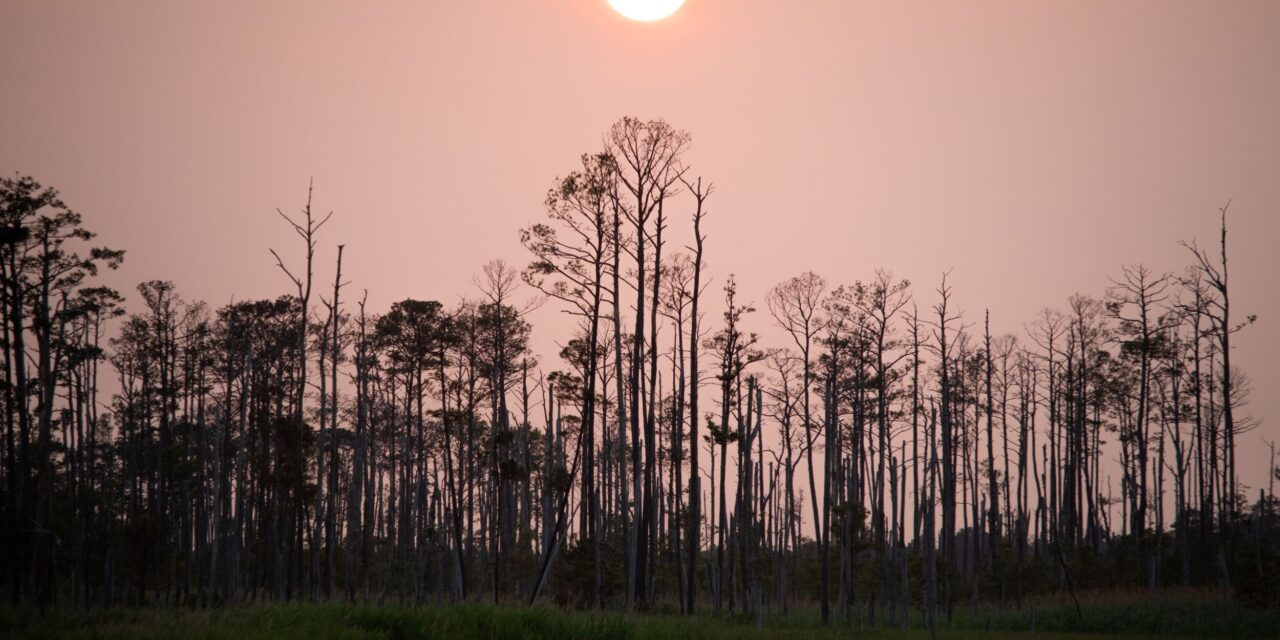 Climate change is a local issue – and here’s what’s happening in every part of Maryland