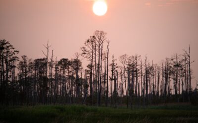 Climate change is a local issue – and here’s what’s happening in every part of Maryland