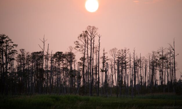 Climate change is a local issue – and here’s what’s happening in every part of Maryland
