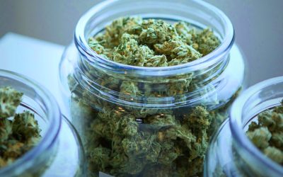 State Roundup: 3 top juvenile detention officials fired; Feds nix Maryland maglev funding; schools see negative impact of legal cannabis on kids