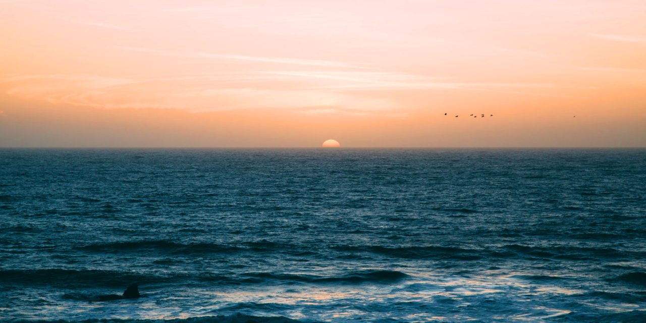 State Roundup: Federal cuts, state deficits a double whammy to Bay recovery; bill moves forward for special elections for some legislative vacancies