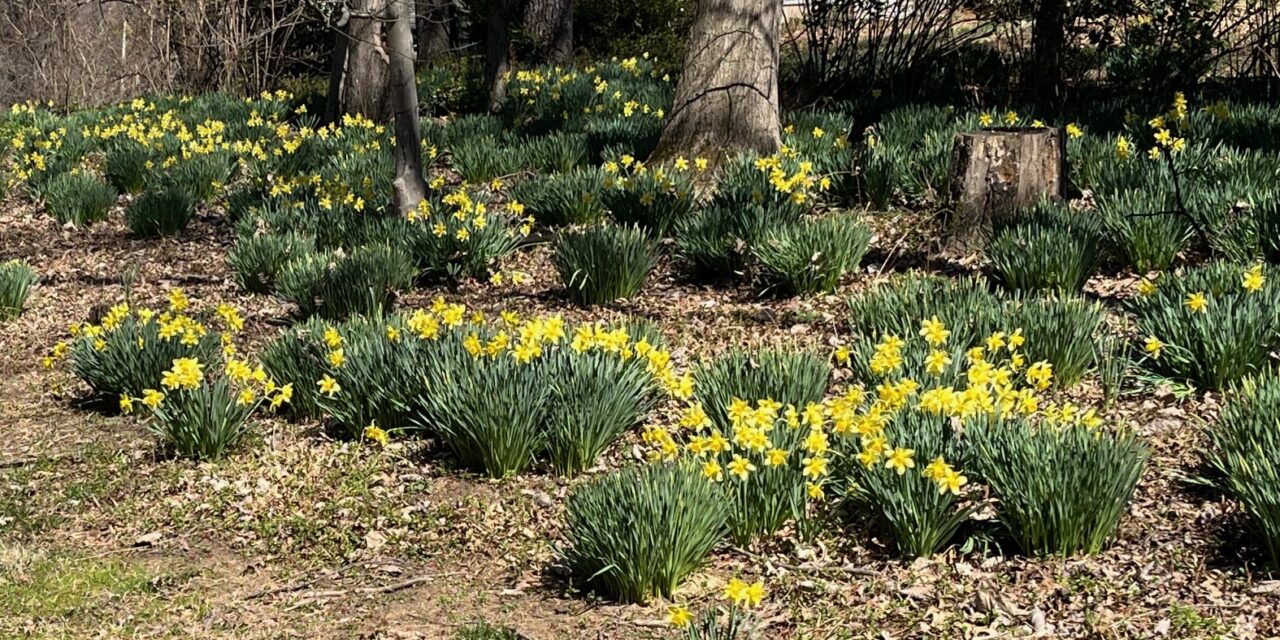 STATE ROUNDUP: MOORE DEFENDS BUDGET, GIVES ‘BREATHING ROOM’ FOR MIDDLE CLASS