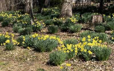 STATE ROUNDUP: MOORE DEFENDS BUDGET, GIVES ‘BREATHING ROOM’ FOR MIDDLE CLASS