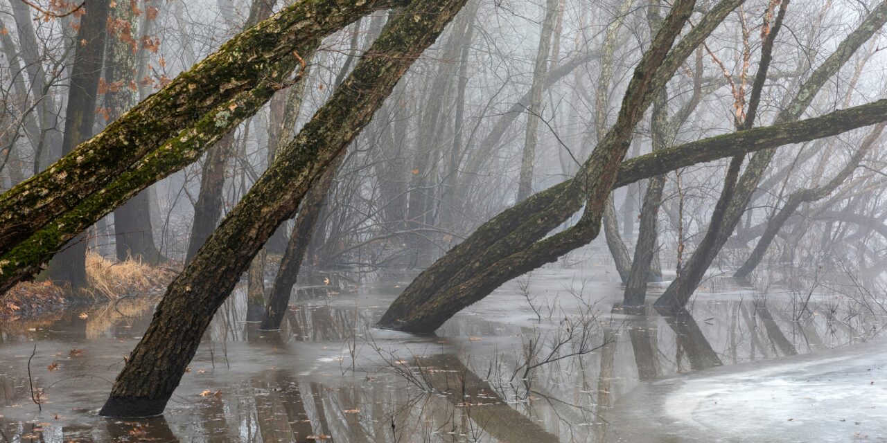 Property Damage from Recent East Coast Flash Flooding Nearing Historic Values