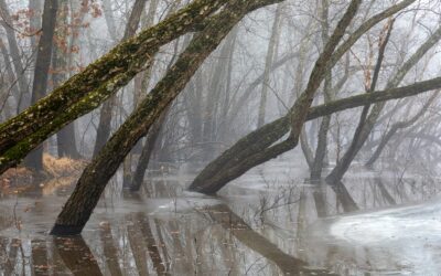 Property Damage from Recent East Coast Flash Flooding Nearing Historic Values