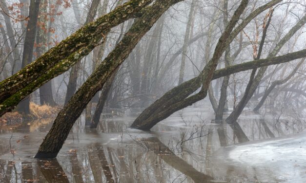 Property Damage from Recent East Coast Flash Flooding Nearing Historic Values