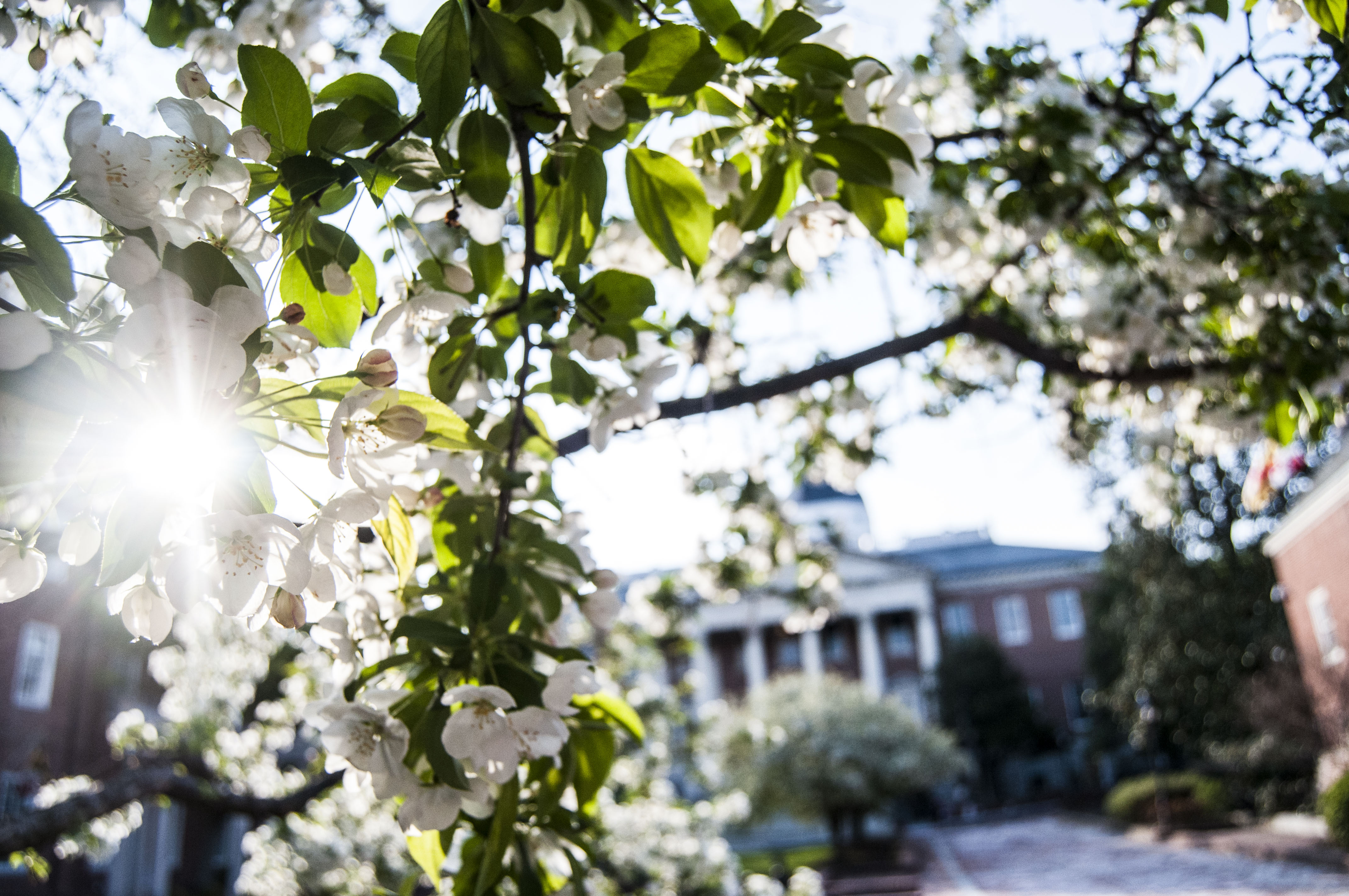 State Roundup: How tax hikes will pay for Education Blueprint; immigrant workers power Maryland workforce; Moore establishes environmental literacy program