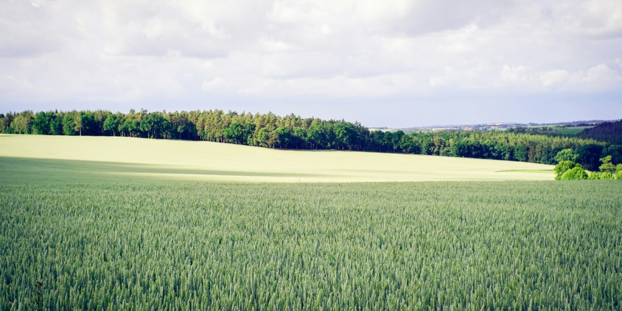 If Montgomery County Really Wanted Affordable Housing, It Would Open Up the Agricultural Reserve