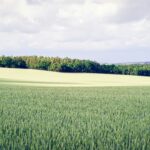 If Montgomery County Really Wanted Affordable Housing, It Would Open Up the Agricultural Reserve