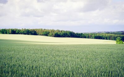 If Montgomery County Really Wanted Affordable Housing, It Would Open Up the Agricultural Reserve