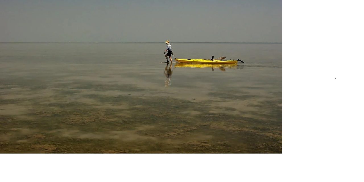 Scientists outline path to a better Chesapeake Bay – but it’s a slow one