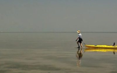 Scientists outline path to a better Chesapeake Bay – but it’s a slow one