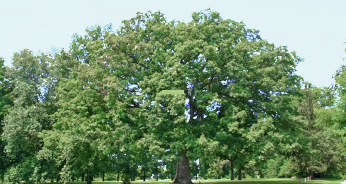 State Roundup: Thousands of suits filed under Child Victims Act; MARC expansion plan revived; Where is Moore heading with B’more’s Red Line?