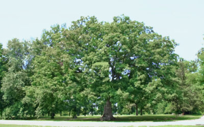 State Roundup: Thousands of suits filed under Child Victims Act; MARC expansion plan revived; Where is Moore heading with B’more’s Red Line?