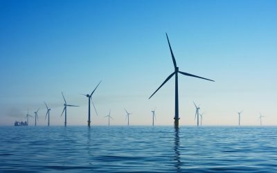 State Roundup: Maryland defends permit for offshore wind farm; what happened to Moore’s support for reparations bill? the daring audit that sparked a reckoning over deaths in police custody