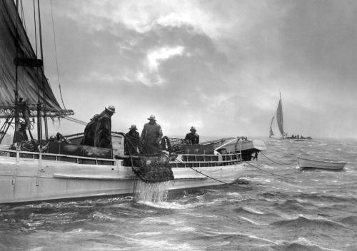 two marylanders face new competition in bid for DNC chair; Glass ‘More than half full’ on education; Bill creating Chesapeake National Rec Area Dies in Congress