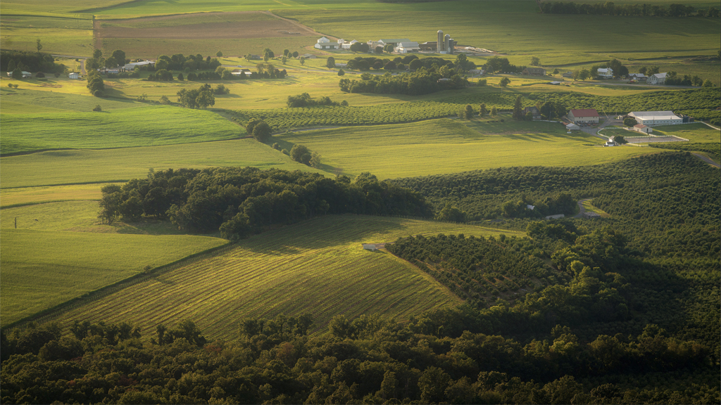 State Roundup: Maryland leaders speak out against Trump’s sanctuary city claims; in S.C., Moore says he isn’t running for president; Fire Academy restarts in-person classes
