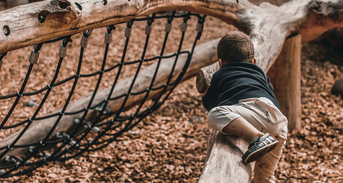 State Roundup: $100M in grants to aid parks, playgrounds; Yough River group to meet for 1st time in almost 20 years; Economics, stress of health care impacts Maryland families