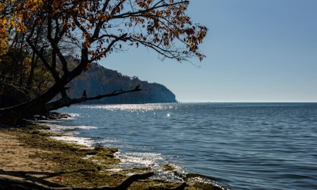 Trump administration policies pose threats to Maryland’s ambitious climate efforts