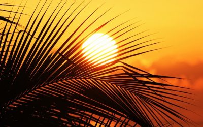 Caribbean Banking in 2022-2023: Overview