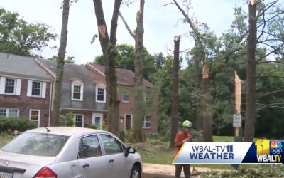 MULTIPLE TORNADOES IN MARYLAND; KEY BRIDGE CHANNEL TO OPEN THIS WEEKEND; FAULTY RECORDKEEPING AT STATE PSYCH HOSPITALS.