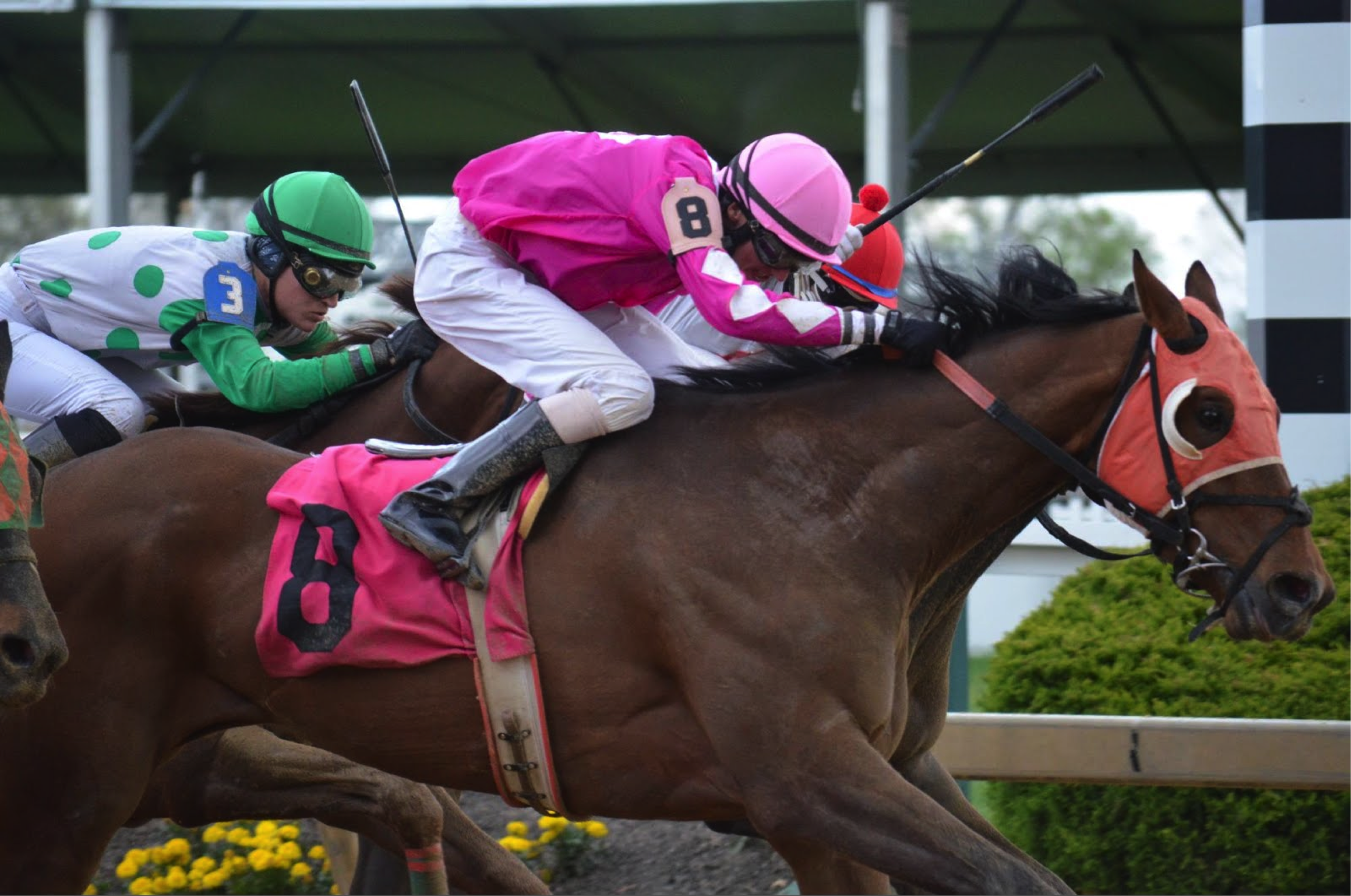 State Roundup: New path forward for Pimlico? Olszewski sees rocky budgeting year across state; health-care access on agenda in Annapolis